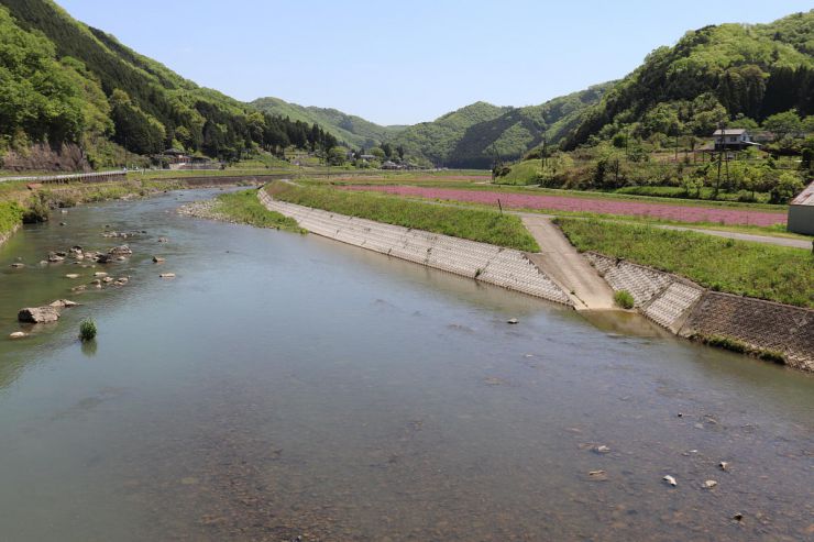Image of river